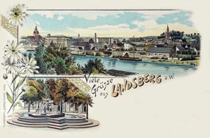 Gorzów Wielkopolski - Reprodukcja 41046
