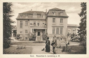 Gorzów Wielkopolski - Reprodukcja 41081