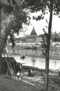 Gorzów Wielkopolski - Reprodukcja 41097