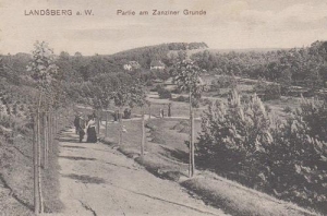 Gorzów Wielkopolski - Reprodukcja 41120