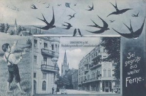 Gorzów Wielkopolski - Reprodukcja 41171