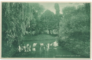 Karłowice staw - 031064