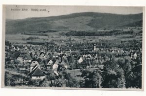 Polanica Zdrój panorama - 031088