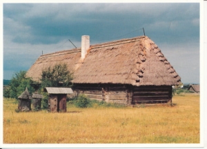 Tokarnia koło Chęcin - 031632