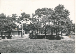 Stegna ośrodek wypoczynkowy - 031677