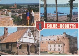 Golub Dobrzyń widokowa - 031709