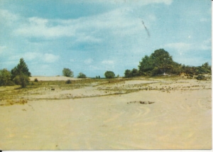 Mińsk Mazowiecki okolice krajobraz - 031743