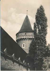 Kraków mury obronne - 031755