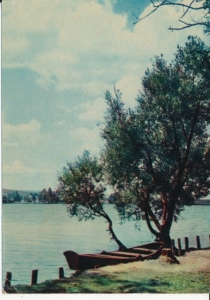 Pojezierze Drawskie jezioro Drawsko - 032211