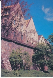 Toruń mury obronne - 031838
