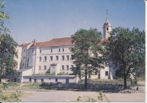Jawor zamek - 032067