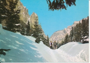 Tatry Dolina Kościeliska - 032237