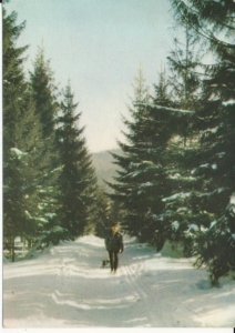 Krynica na spacerze - 032350