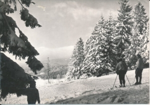 Krynica Góra parkowa - 032394