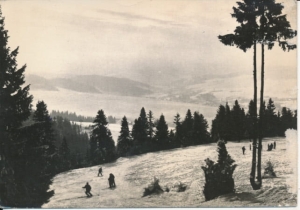 Krynica Góra Parkowa - 032464