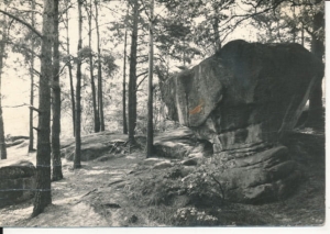 Ciężkowice rezerwat skalny - 032481