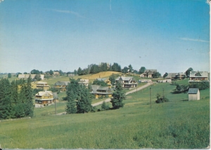 Bukowina Tatrzańska panorama - 032484