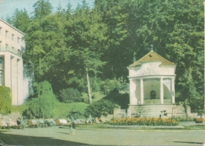 Krynica muszla koncertowa - 032567