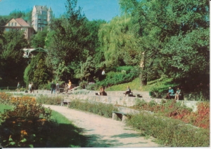 Krynica fragment parku - 032589