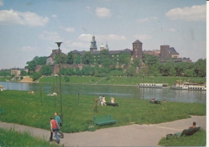 Kraków Wawel - 032613