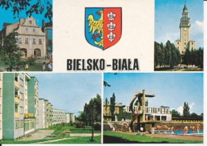 Bielsko Biała herb widokowa - 032635