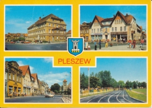 Pleszew herb widokowa - 032657