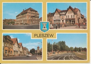 Pleszew herb widokowa - 032680