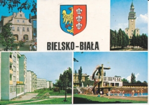 Bielsko Biała herb widokowa - 032696