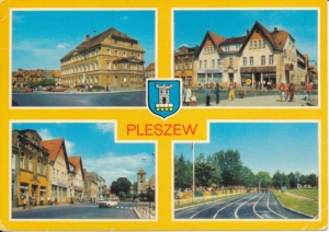 Pleszew herb widokowa - 032703