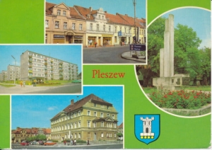 Pleszew herb widokowa - 032708