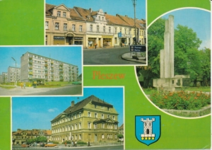 Pleszew herb widokowa - 032758