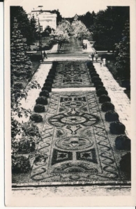 Ciechocinek dywan kwiatowy - 032777