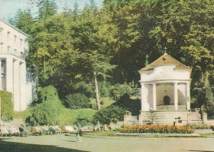 Krynica muszla koncertowa - 032873