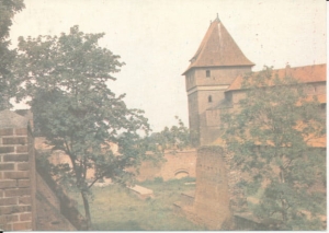 Malbork Zamek pokrzyżacki - 032949