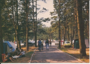 Mrzeżyno camping - 033097