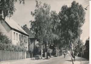 Choszczno fragment miasta - 033244