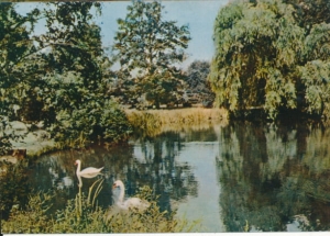Ciechocinek park zdrojowy - 033271