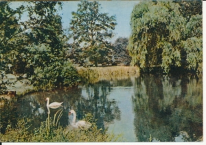 Ciechocinek park zdrojowy - 033279