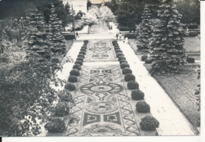 Ciechocinek dywan kwiatowy - 033283