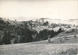 Bukowina Tatrzańska - 033296