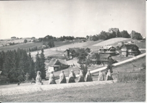 Bukowina Tatrzańska - 033297