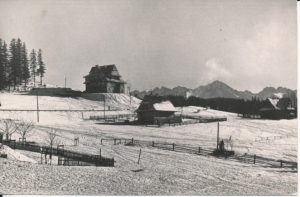 Bukowina Tatrzańska - 033298