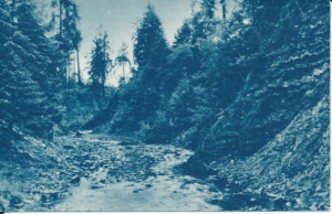 Bukowina Tatrzańska - 033302