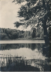 Jezioro Duszatyńskie - 033323