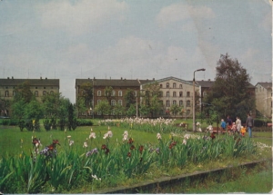 Sosnowiec ul. Czerwonego Zagłębia - 033405