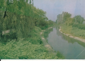 Sosnowiec Bulwary nad Przemszą - 033415