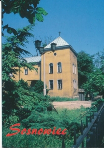 Sosnowiec zamek - 033439