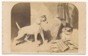 CDV Fotografia wizytowa - 23521