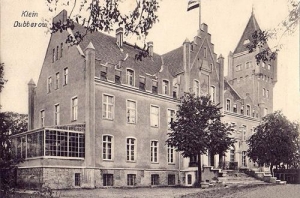 Dobrowo pałac - Reprodukcja 41229
