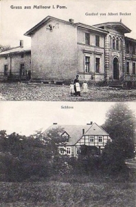 Malonowo widokowa - Reprodukcja 41244